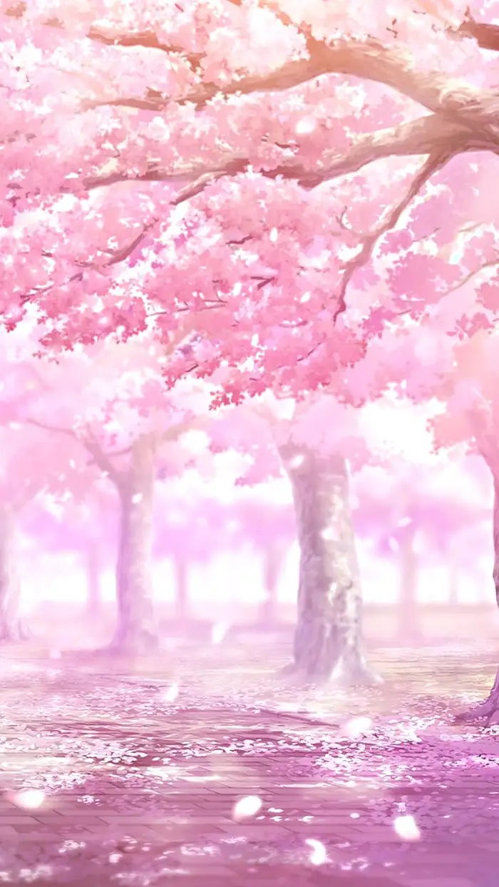hình ảnh hoa anh đào anime hd siêu đẹp