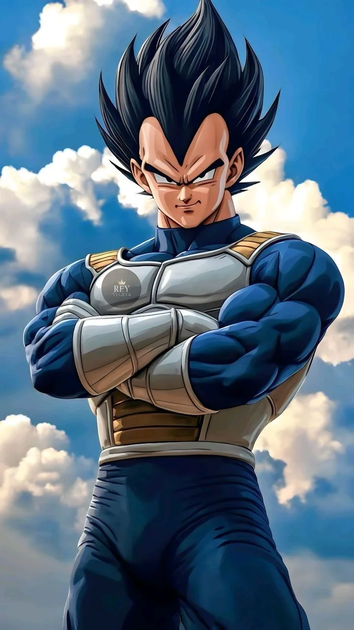 ảnh Vegeta 14