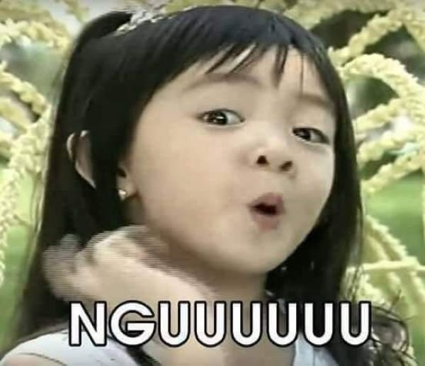 ảnh meme bựa troll