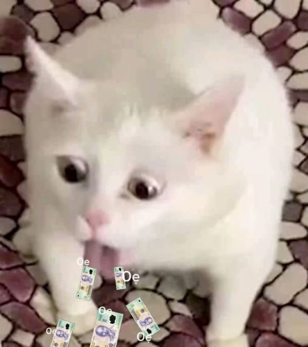 ảnh meme tiền troll