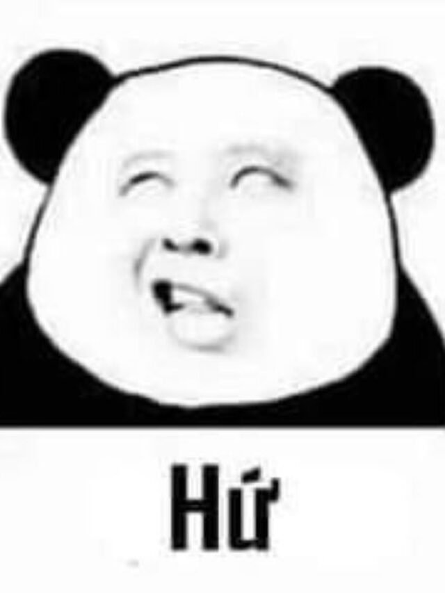 Tổng hợp 362+ ảnh bạn sợ à meme vô cùng hài hước và thú vị