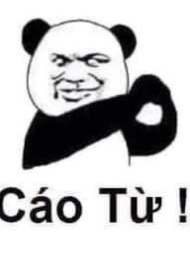 Trọn bộ 352+ ảnh meme bựa, hài hước và lầy lội cực kì thú vị