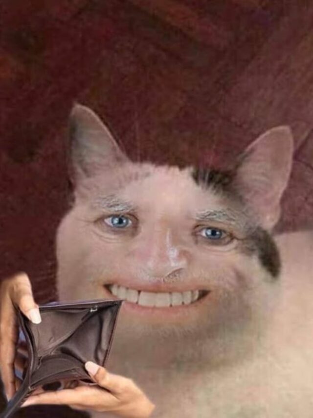 Trọn bộ 351+ ảnh ví rỗng meme tếu táo vui nhộn troll bạn bè