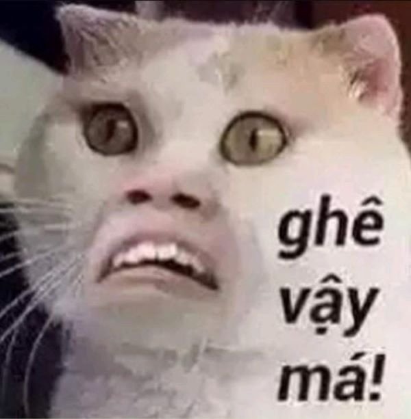 meme bựa chế bá đạo