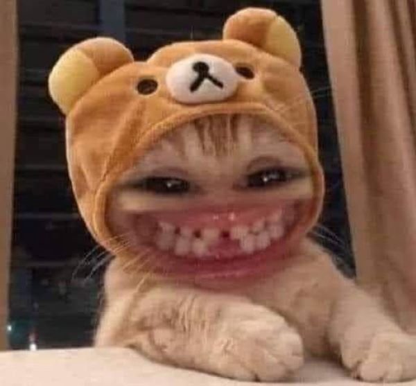 meme bua cuoi banh noc