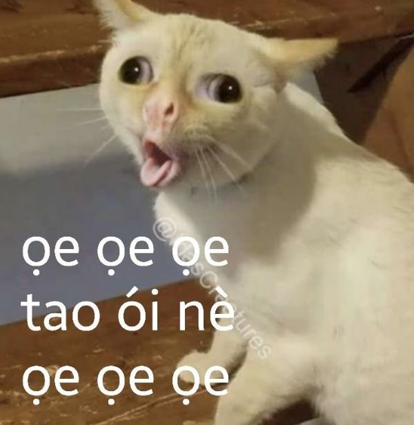 meme bựa hài bể bụng