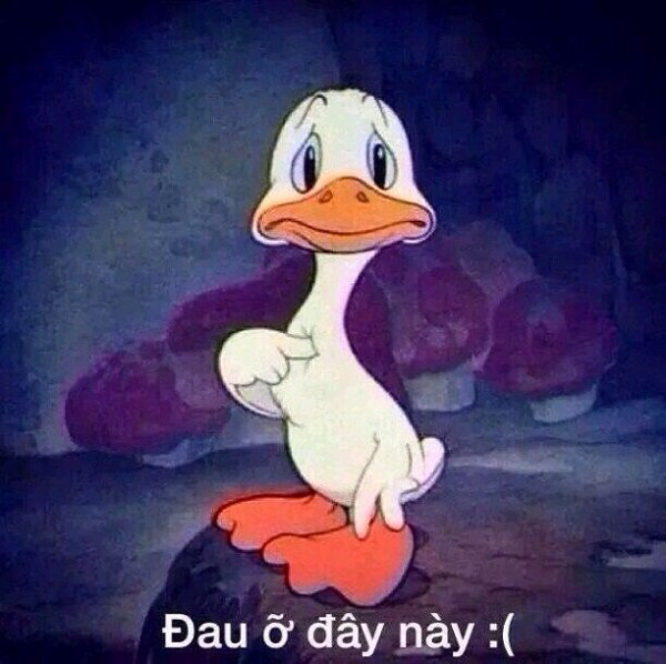 meme đau tim troll bạn