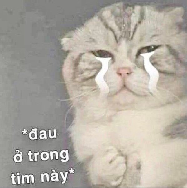 meme dau tim troll cuc hai