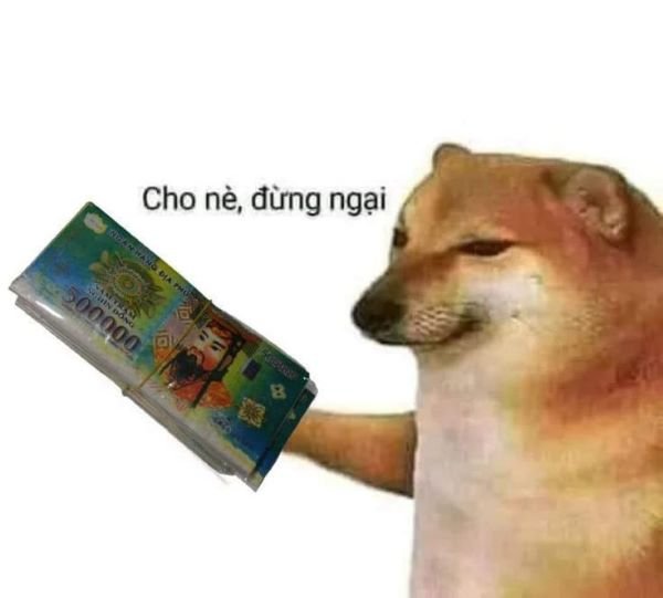 meme tiền cười xỉu