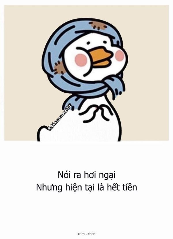 meme tiền hài bể bụng