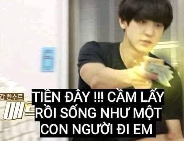 meme tiền troll bạn