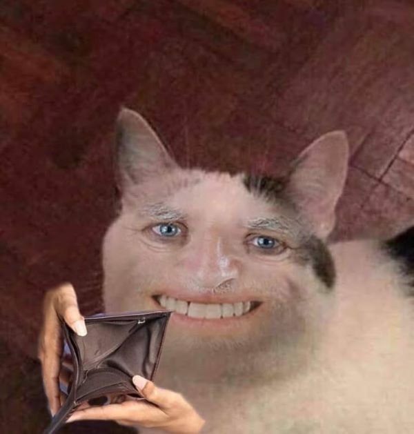 ví rỗng meme hài trend